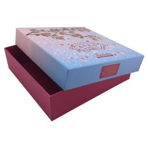 Seasonal Cake Box Imlek