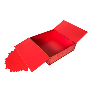 Seasonal Cake Box Christmas