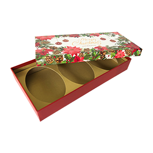 Seasonal Cookie Box Christmas