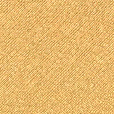 Embossed Oxford-Light Gold