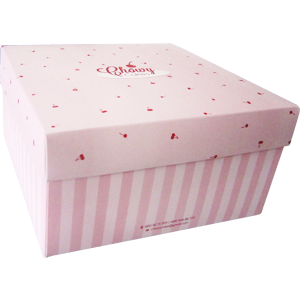 Folding Paper Box