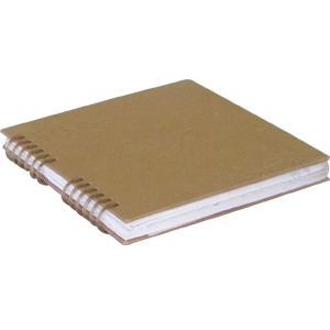Diaries