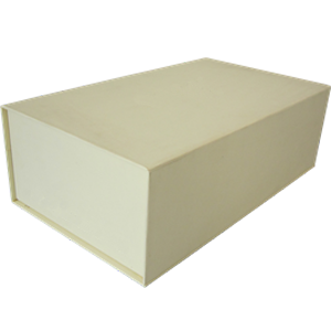Shoe Box
