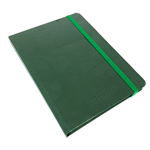 Diaries