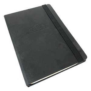 Diaries